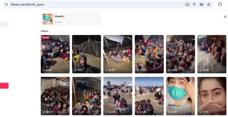 Fact Check: Viral Gaza Flood Videos From December 2025 Are AI-Generated, Not Real Footage - Image 7