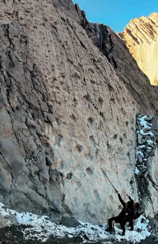 About 20,000 Dinosaur Footprints Discovered in the Italian Alps Near 2026 Olympic Venues - Image 1