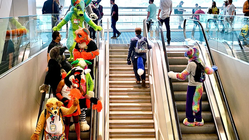 SUNY Plattsburgh Recognizes 'Plattsfur' As Campus Furry Club As Trend Grows Nationwide - Image 1