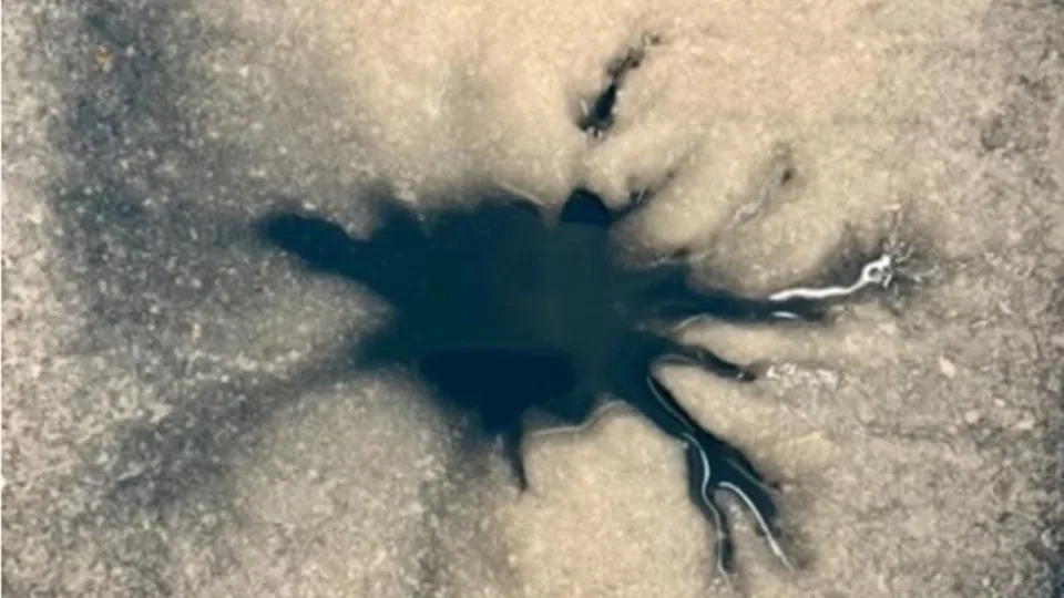 Europa's 'Spider' Explained: Scientists Recreate Mysterious Dendritic Feature and Name It Damhán Alla - Image 1