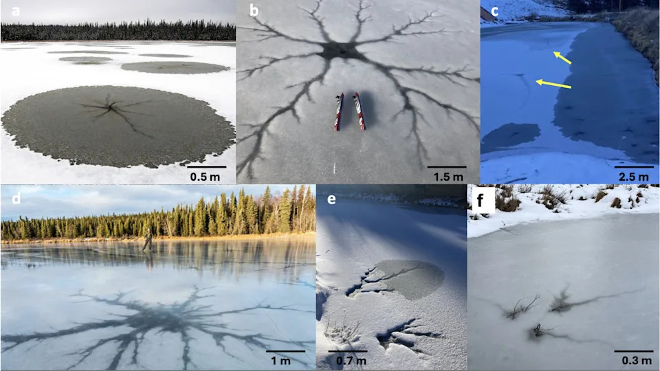 Europa's 'Spider' Explained: Scientists Recreate Mysterious Dendritic Feature and Name It Damhán Alla - Image 2