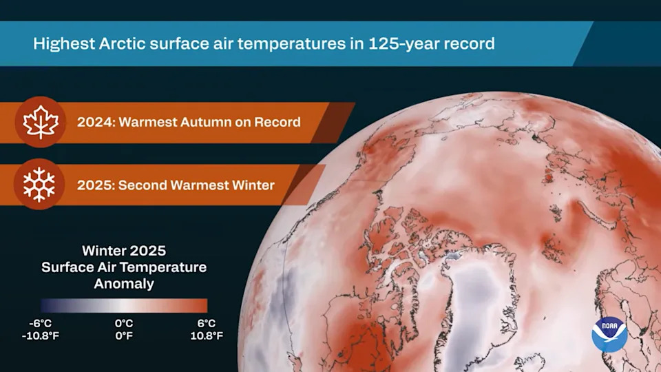 Arctic Warms More Than Twice as Fast as the Globe — 2024–25 Is The Hottest Year on Record - Image 1