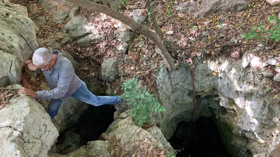 Ancient Bees Found Nesting in Fossilized Tooth Sockets — First Evidence of Cave Bone‑Nesting - Image 2