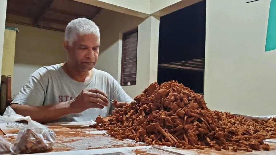 Ancient Bees Found Nesting in Fossilized Tooth Sockets — First Evidence of Cave Bone‑Nesting - Image 4