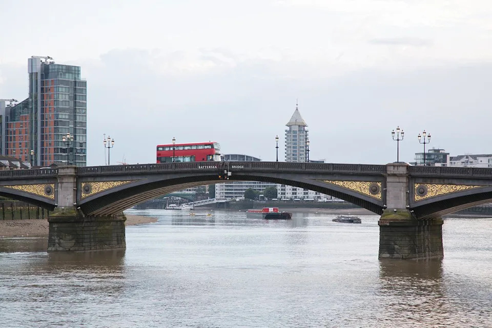 Woman Accused in Bogotá Raspberry Poisonings Pulled Alive from River Thames Near Battersea Bridge - Image 2