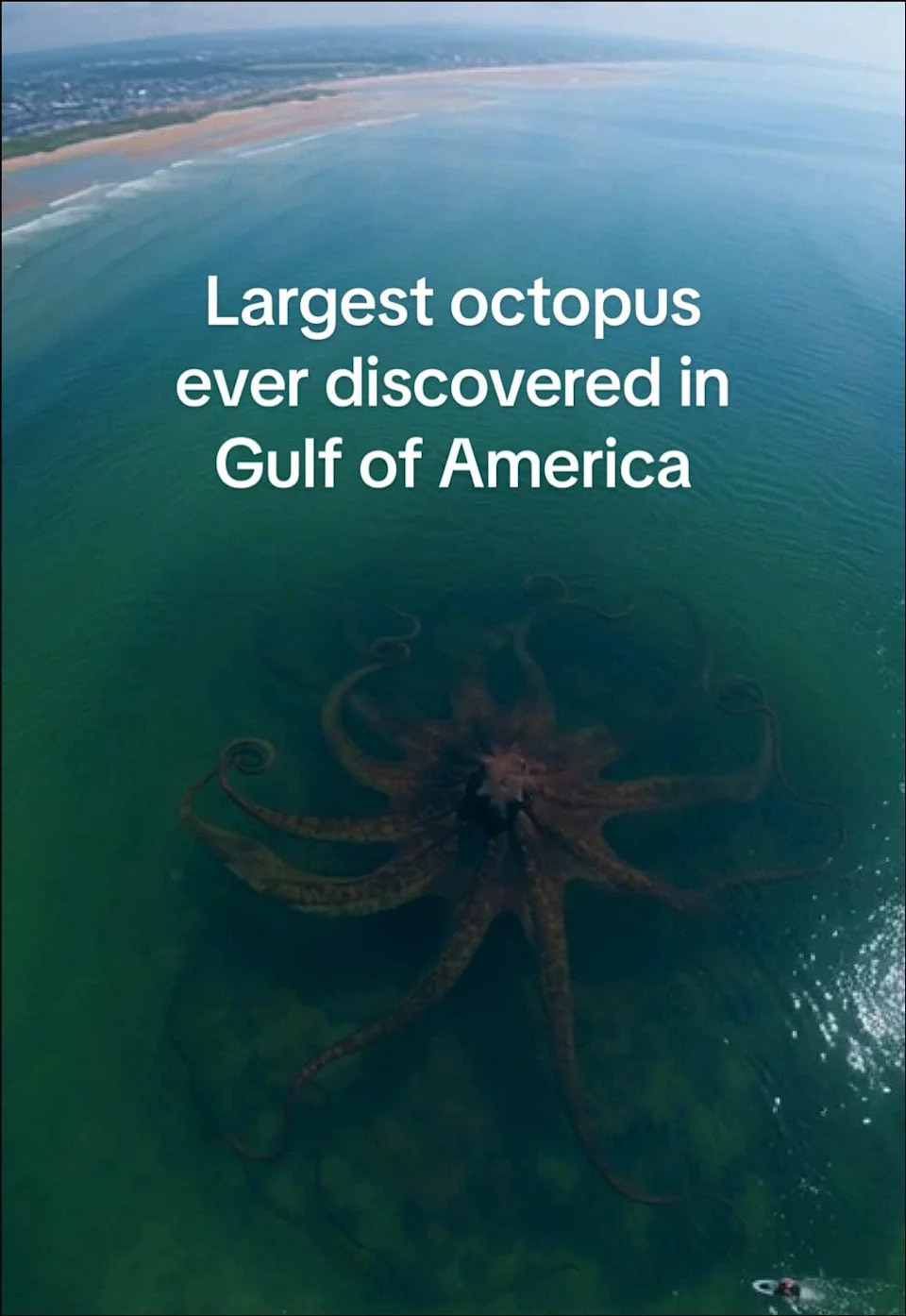 Fact Check: Viral “Eclipse Octopus” Drone Footage Is AI — Not a Real Gulf Giant - Image 1