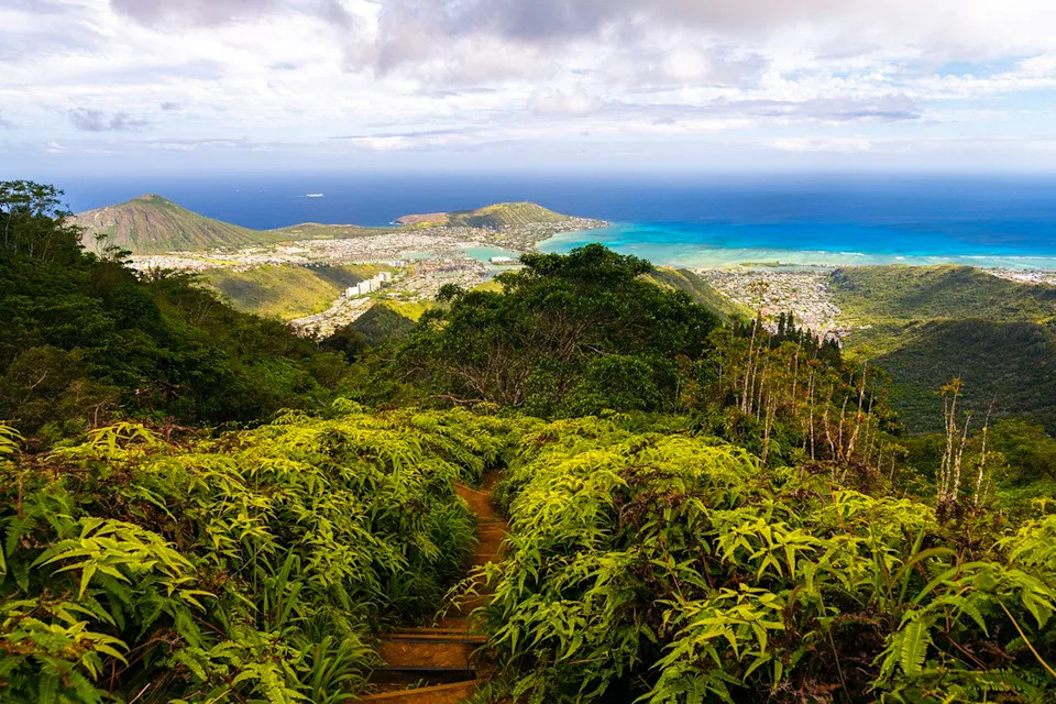 Hiker Falls 30 Feet on Oahu, Stranded Overnight Before Complex Rescue - Image 2
