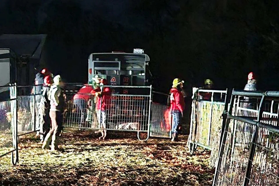 More Than 200 Animals Rescued in Massive Two‑Day Operation in Grass Valley After Suspected Abuse - Image 3