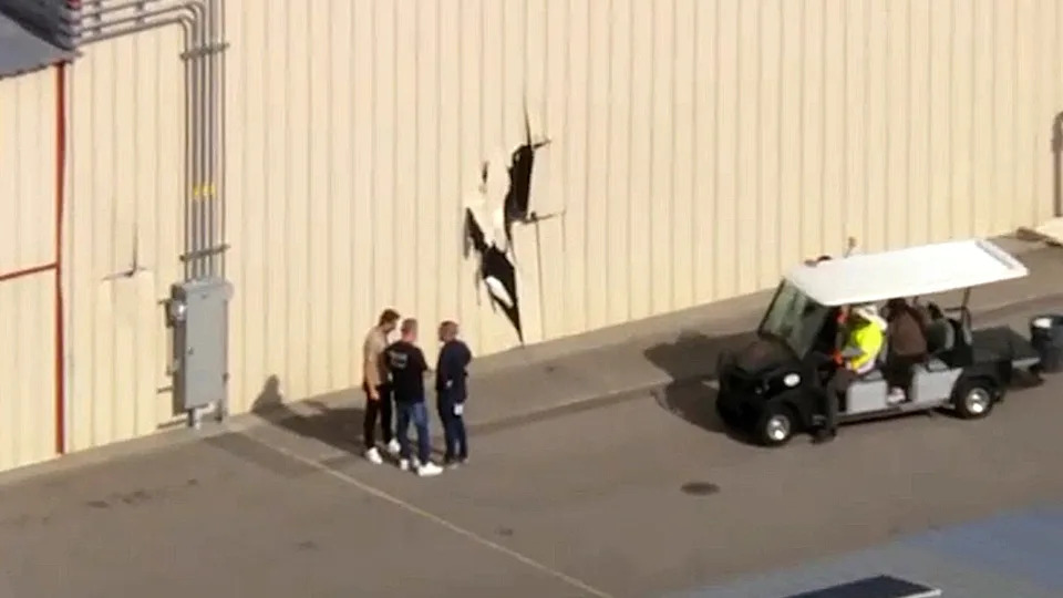Stolen Cessna Crashes Into Hangar at Van Nuys Airport; Suspect Arrested - Image 1
