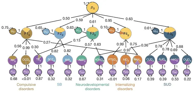 Major Study Finds Five Shared Genetic Factors Link 14 Psychiatric Disorders - Image 1