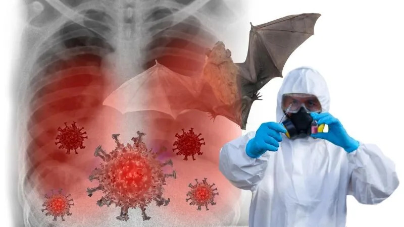 15 Breakthrough Discoveries of 2025: From Upside-Down Crowns to Hidden Antarctic Landscapes - Image 8