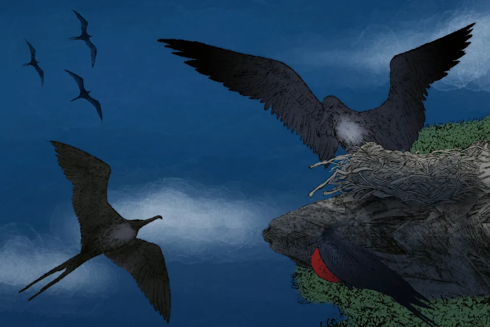 When Sleep Is Risky: How Animals Sneak Shut‑Eye in Dangerous Places - Image 2