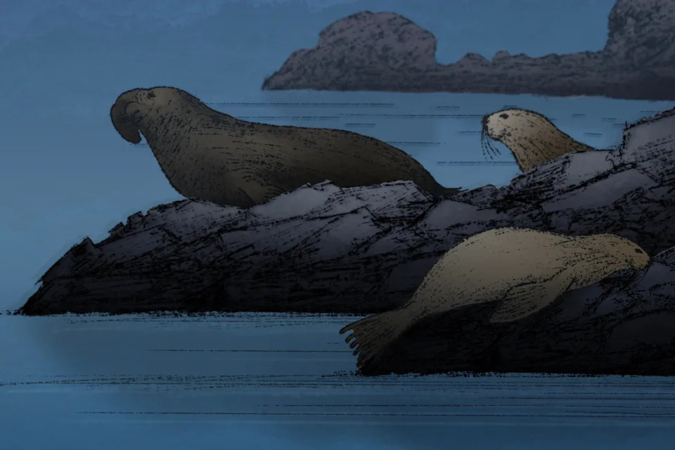 When Sleep Is Risky: How Animals Sneak Shut‑Eye in Dangerous Places - Image 3