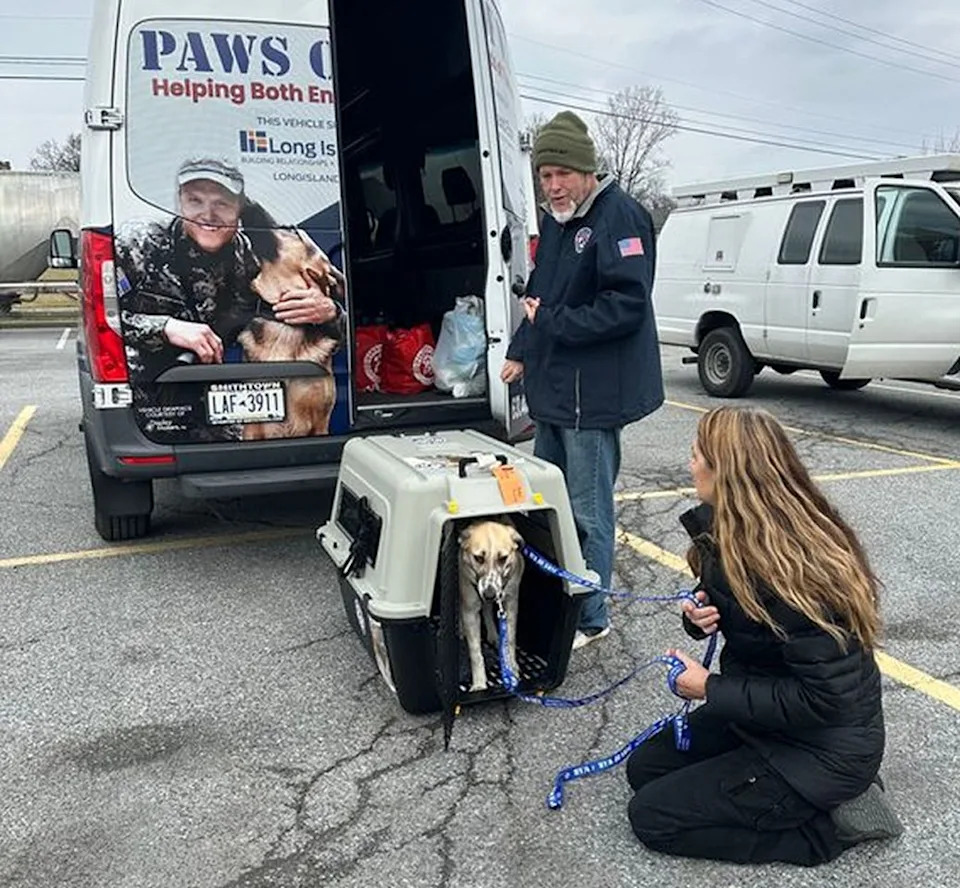 Veteran Battling Bone Cancer Reunites With Puppy He Saved While Deployed — Emotional Homecoming - Image 2