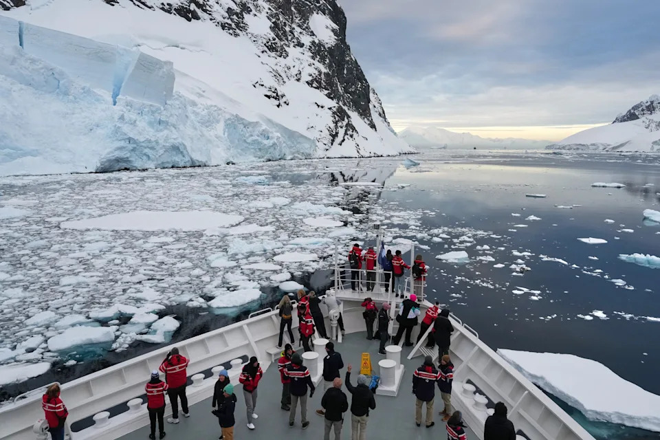 Photos From Antarctica Show Thriving Wildlife — And Clear Signs Of Climate Risk - Image 1