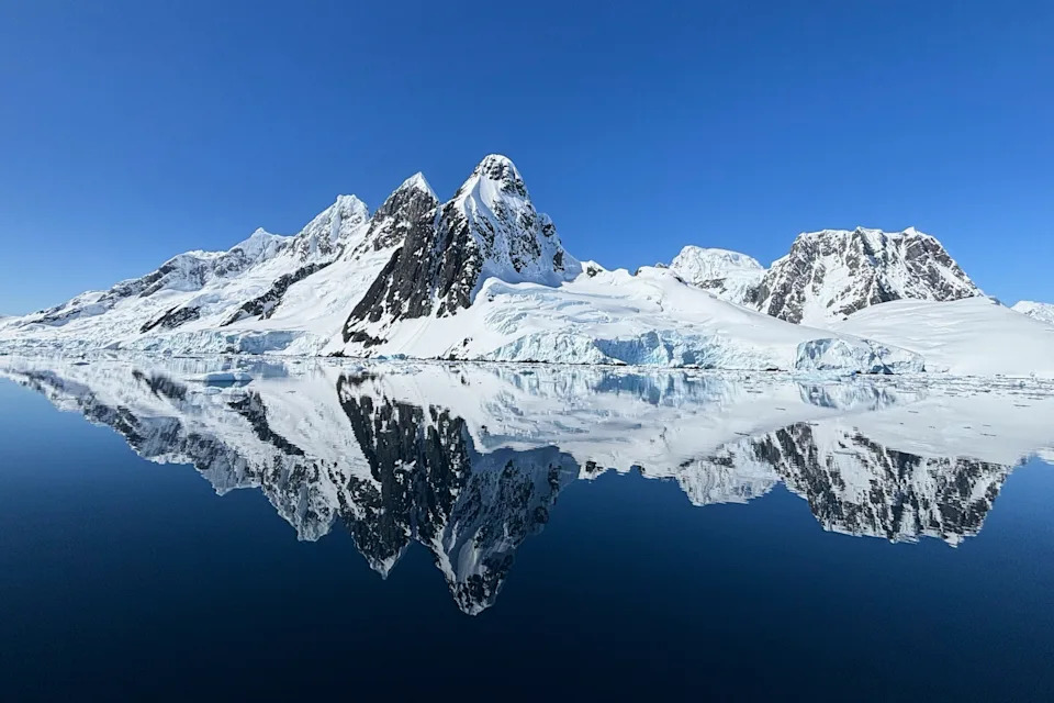 Photos From Antarctica Show Thriving Wildlife — And Clear Signs Of Climate Risk - Image 10