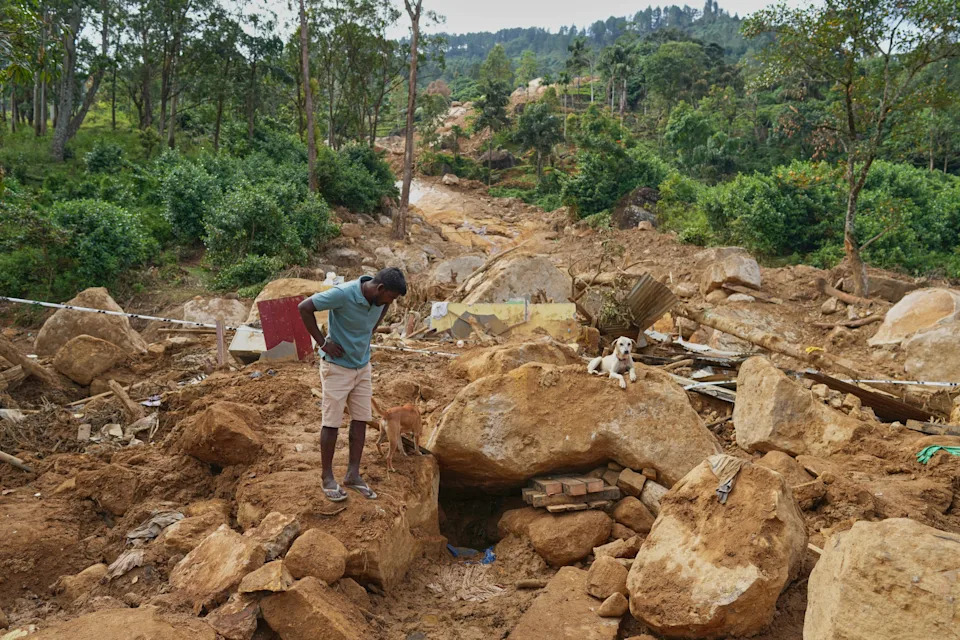 Sri Lanka’s Tea Estate Communities Plunge Deeper Into Poverty After Deadly Floods and Landslides - Image 10