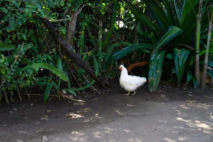 Caregivers Share Early Alzheimer’s Clues They Wish They’d Known Sooner - Image 1