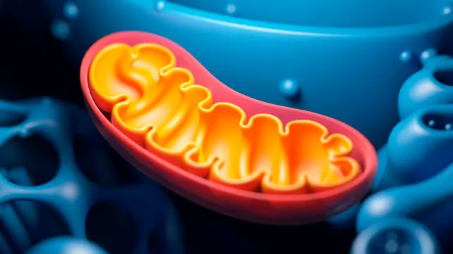 This Week in Science: JWST Confirms Runaway Black Hole, Interstellar Comet 3I/ATLAS Near-Earth Flyby, and New Health Findings - Image 7