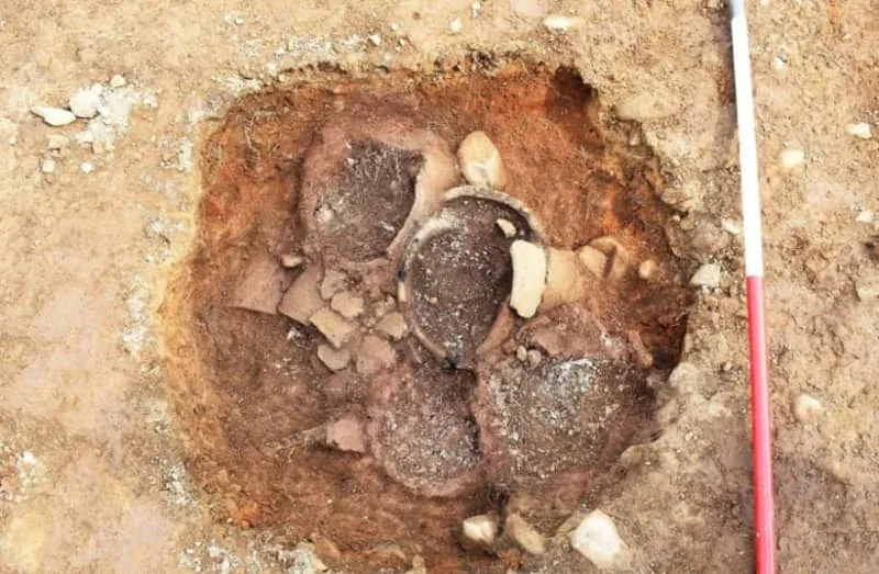Rare Bronze Age Mass Burial Near Twentyshilling Hill Suggests Sudden Catastrophe - Image 1