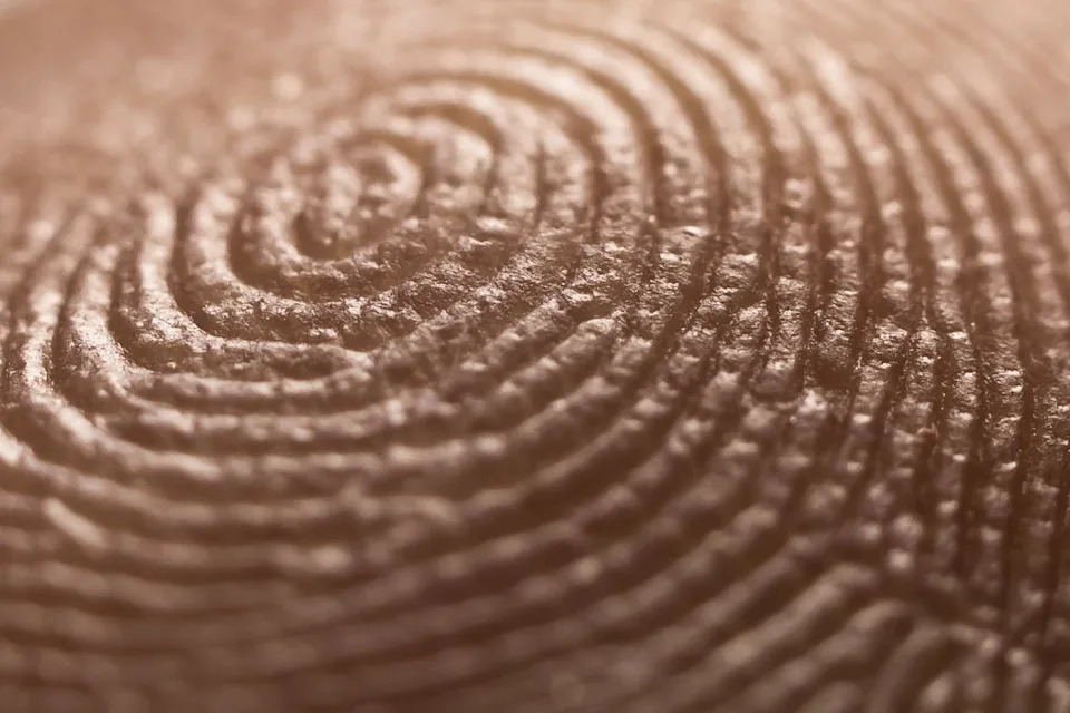How Did I End Up With My Own Unique Fingerprints? - Image 1