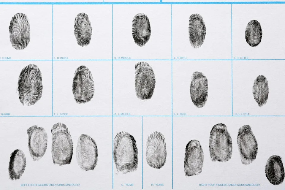 How Did I End Up With My Own Unique Fingerprints? - Image 2