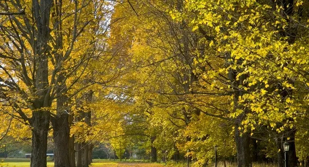 Independent Probe Finds Decades of Sexual Misconduct and Institutional Failures at Elite Massachusetts Boarding School - Image 1