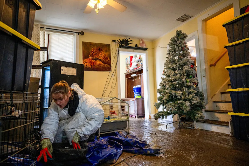 Federal Flood-Mitigation Grants for Washington Remain Frozen as Atmospheric Rivers Devastate Communities - Image 6