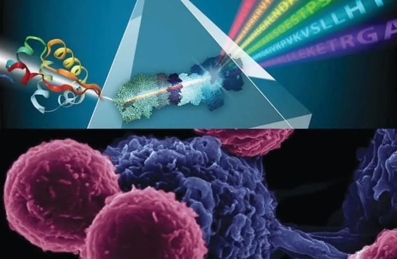 Weizmann ‘Peptide Detective’ Yifat Merbl Named One of Nature’s Top 10 Science Shapers of 2025 - Image 1