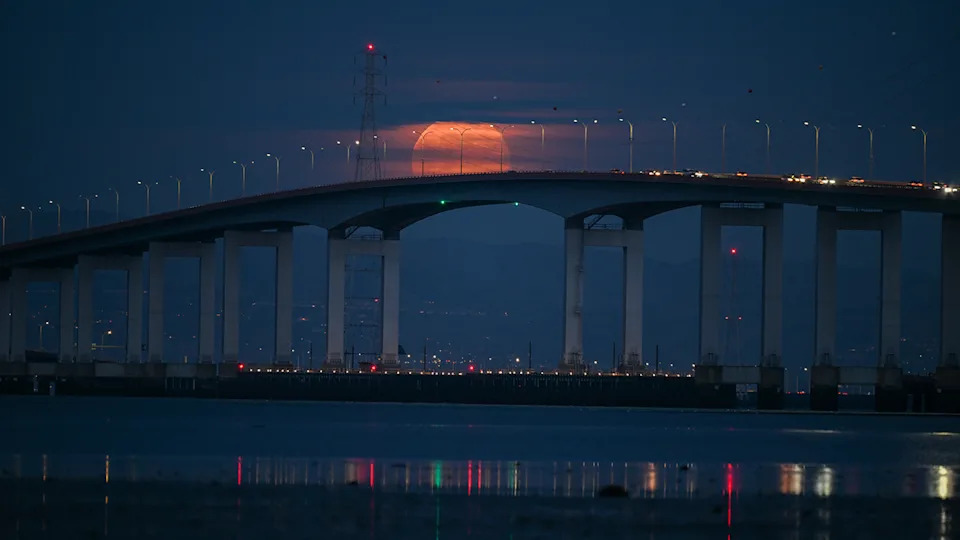 Yale Professor’s Father Arrested in Decades-Old Murder of Her Mother; She Says He ‘Used Me as Bait’ - Image 1