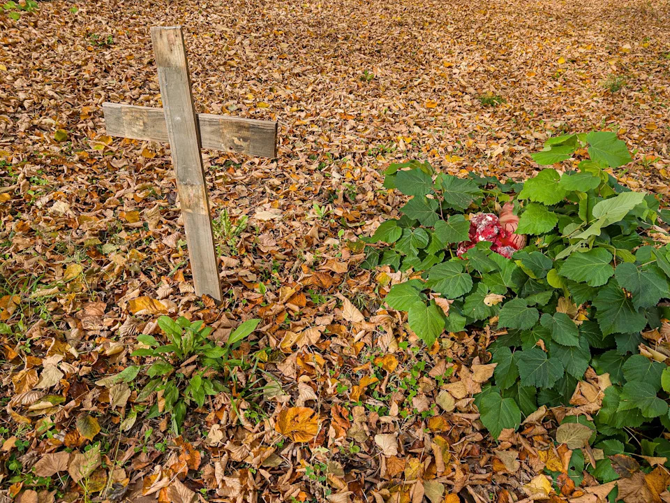 “That’s When I Knew”: Ex-Members Describe the Moment They Realized Their Religious Communities Were Cults - Image 15