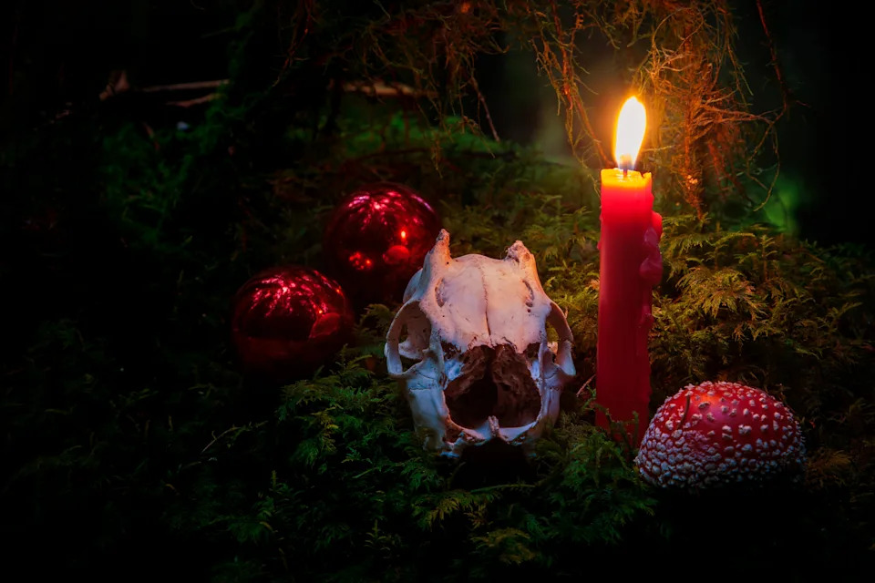 “That’s When I Knew”: Ex-Members Describe the Moment They Realized Their Religious Communities Were Cults - Image 18