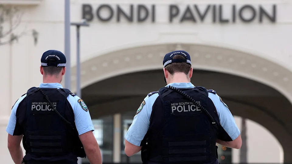 Bondi Beach Attack Signals ISIS Resurgence, Experts Warn of Expanding Global Jihadist Networks - Image 1