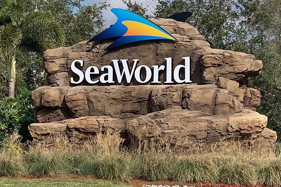 SeaWorld Mourns Katina: Beloved Orca Dies at 50 After Geriatric Health Decline - Image 1