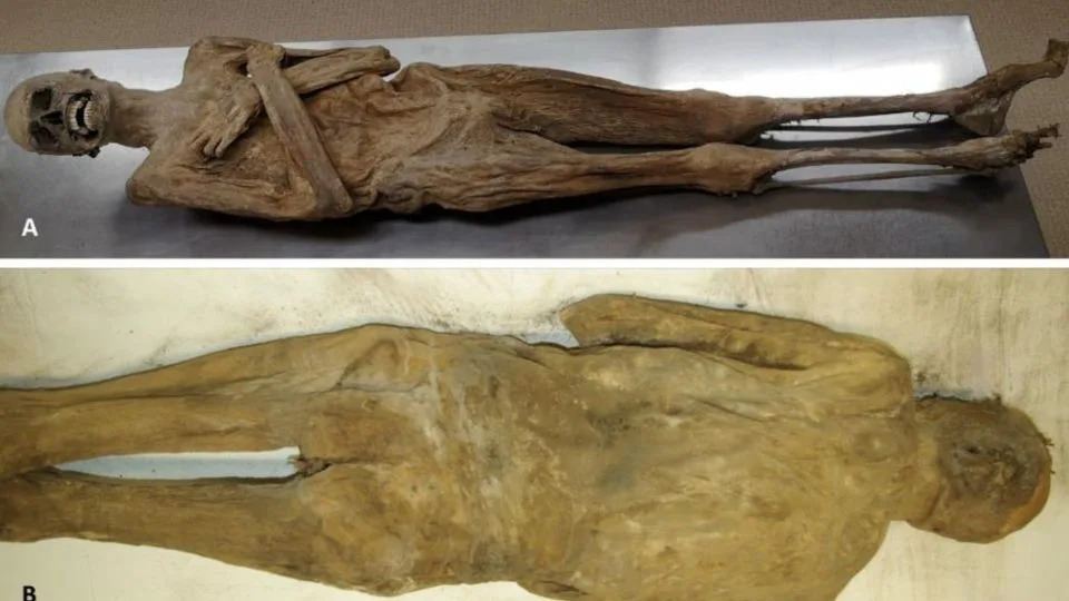 How Science Solved History’s Puzzles in 2025: From Easter Island to Napoleon’s Retreat - Image 1