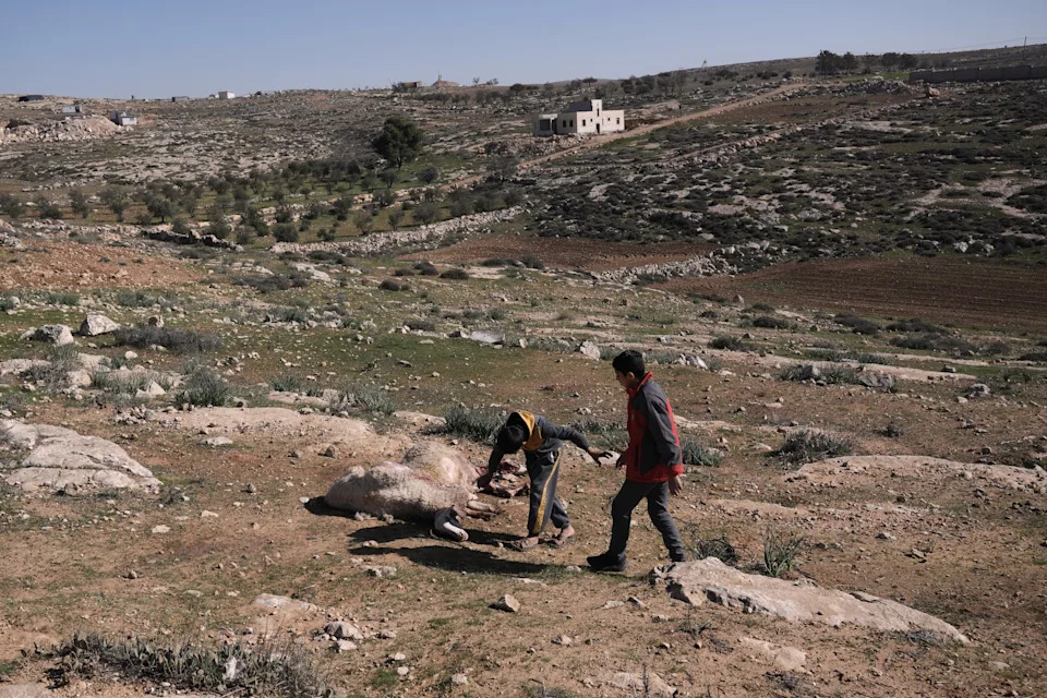 Masked Settlers Raid West Bank Home in As Samu’, Kill Sheep and Send Children to Hospital - Image 1