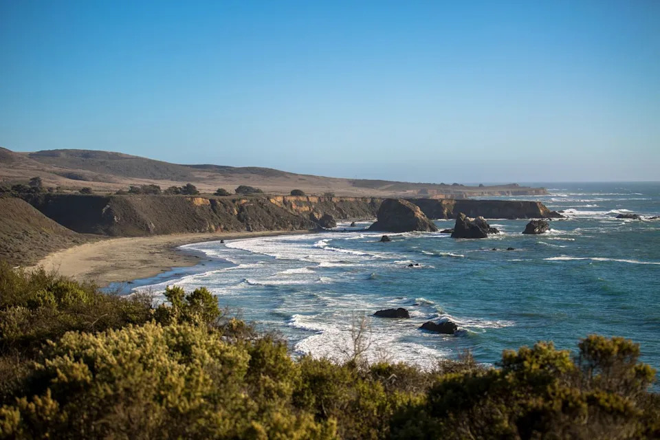 Rare 'Seven-Arm' Octopus Spotted in Monterey Bay — MBARI's 4th Sighting in Nearly 40 Years - Image 1