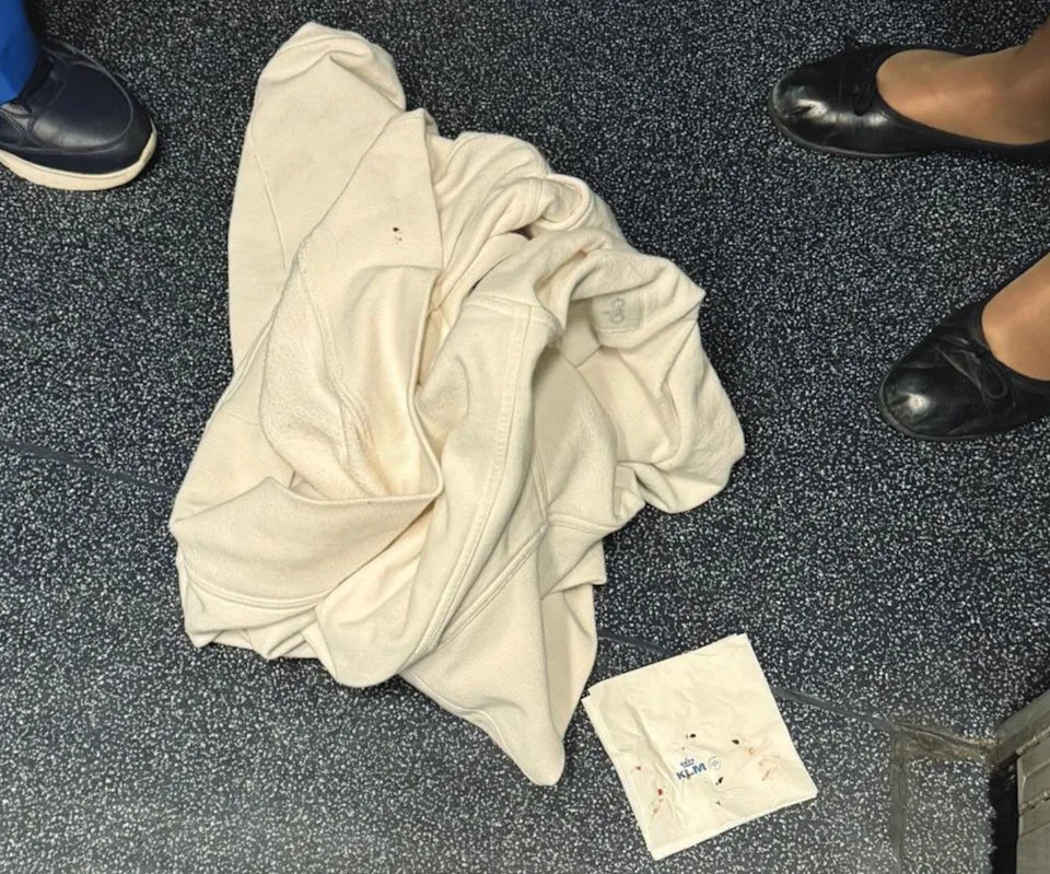 Virginia Family Sues Delta and KLM for $200,000, Alleging Bed-Bug Infestation on Transatlantic Flight - Image 2