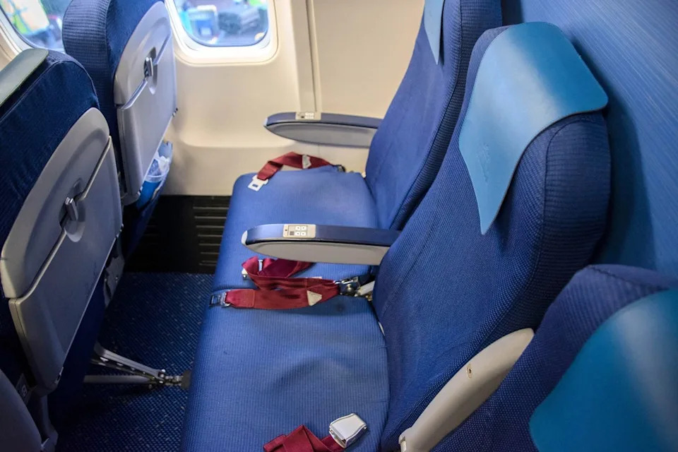 Virginia Family Sues Delta and KLM for $200,000, Alleging Bed-Bug Infestation on Transatlantic Flight - Image 3
