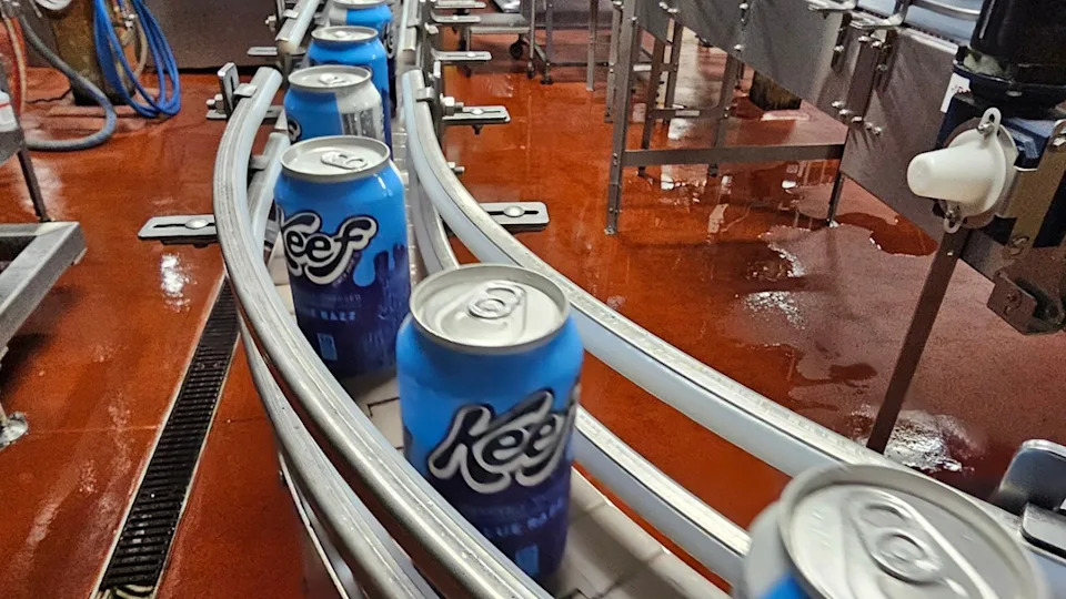 Democrats at a Crossroads: Autopsy of 2024 or Full Focus on 2026 as January Deadline Looms - Image 1