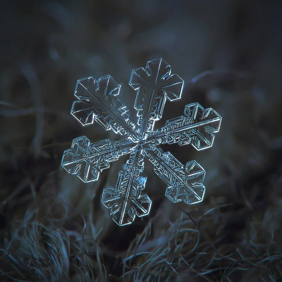 Makrofotografije Snežnih Pahulja Otkrivaju Zapanjujuće Obrasce Prirode