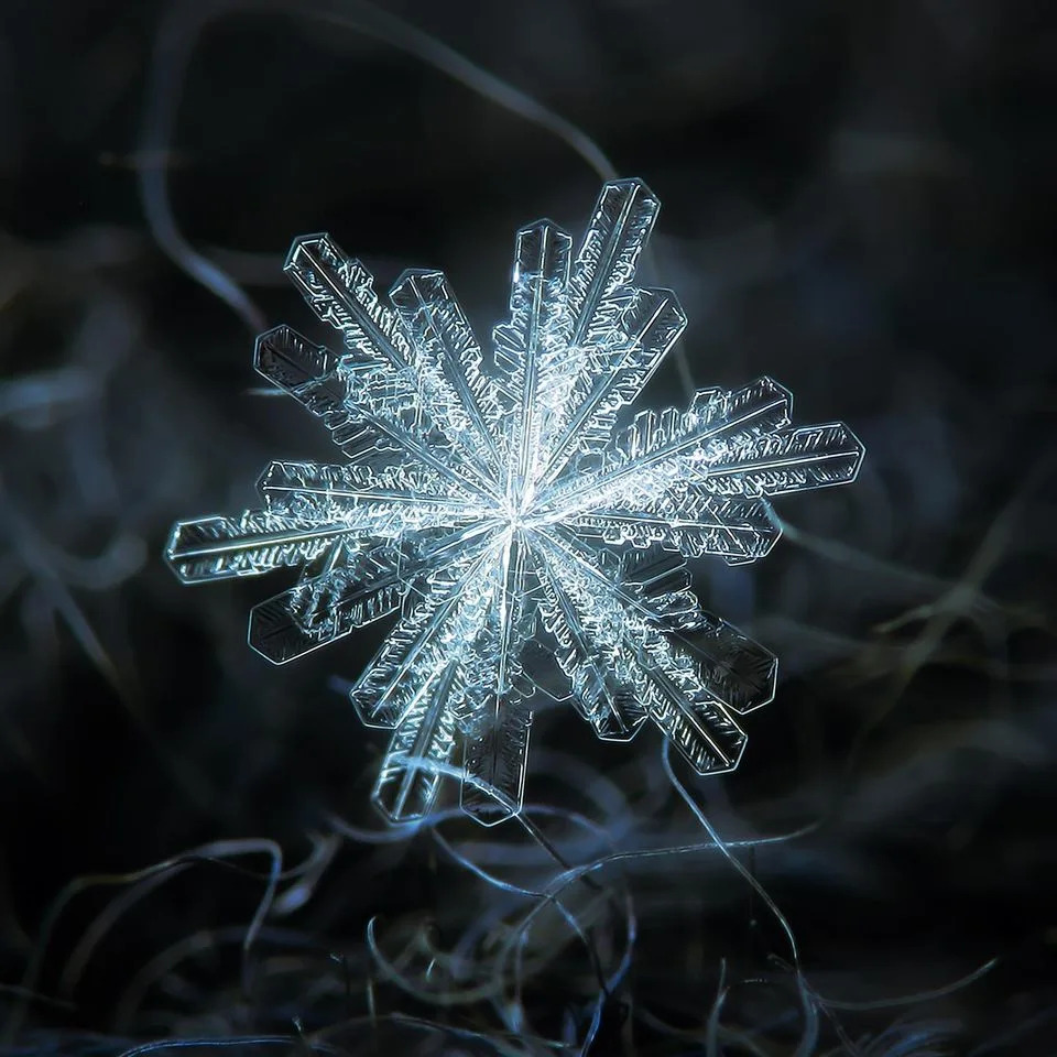 Makrofotografije Snežnih Pahulja Otkrivaju Zapanjujuće Obrasce Prirode
