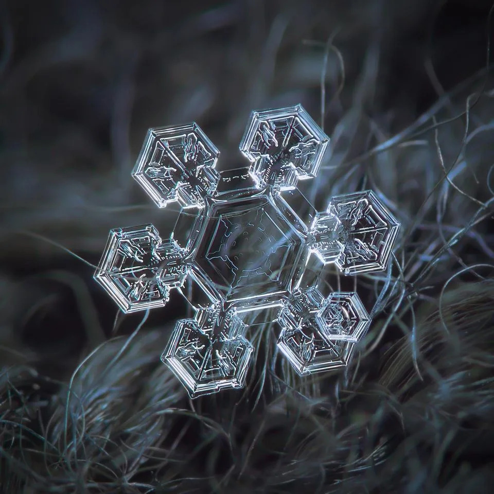 Makrofotografije Snežnih Pahulja Otkrivaju Zapanjujuće Obrasce Prirode