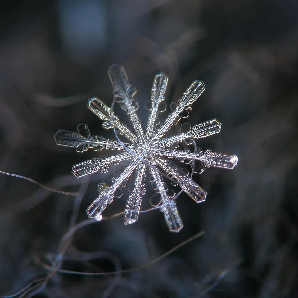 Makrofotografije Snežnih Pahulja Otkrivaju Zapanjujuće Obrasce Prirode