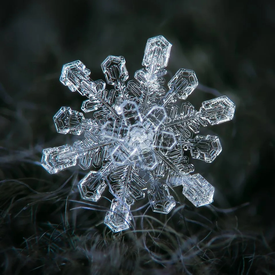 Makrofotografije Snežnih Pahulja Otkrivaju Zapanjujuće Obrasce Prirode