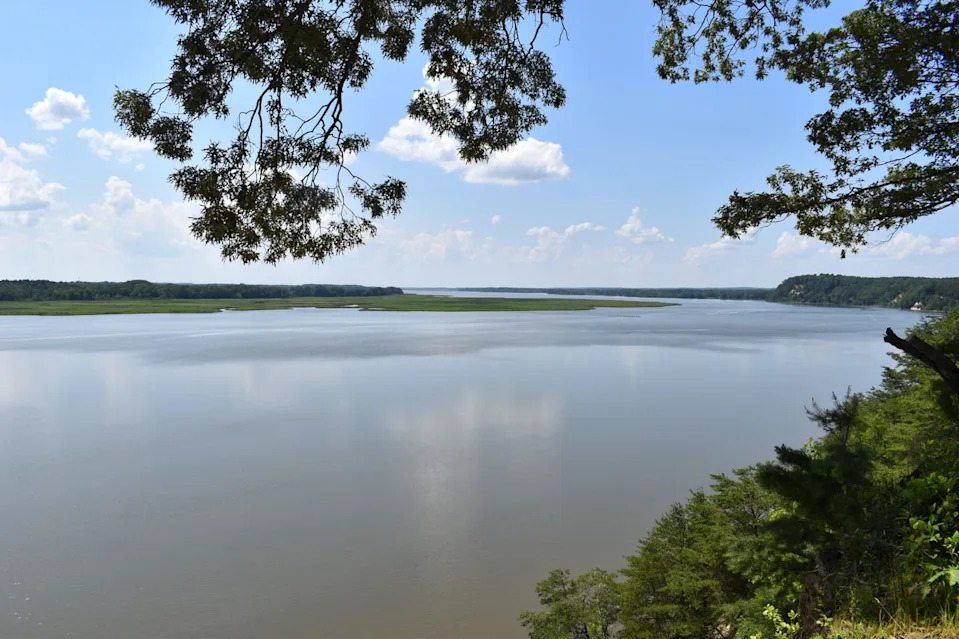 Lost Village Found: Archaeologists Unearth Artifacts from Settlement John Smith Described Along the Rappahannock - Image 2