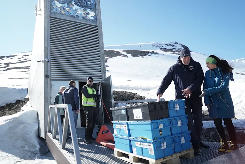 Seed Vaults: How Genebanks and Svalbard Protect Humanity’s Food Future - Image 3