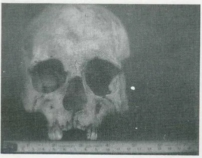 ExplorersWeb: Five Most-Read Science Stories of 2025 — From Shoreline Lions to Jane Goodall