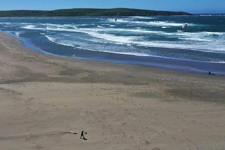 Surfer Unhurt After Suspected Great White Collides With Surfboard Off Dillon Beach