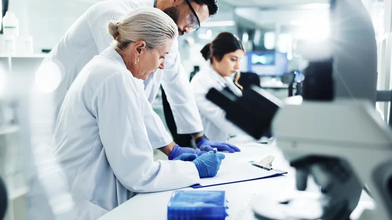 Are Chernobyl’s Dogs Evolving? What Recent Studies Reveal